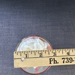 Weston WV Glass Almost Heaven Cup