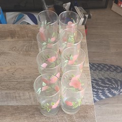 Franciscan Desert Rose Floral Tall Glasses Set of 8, Clear Pink Green Glossy