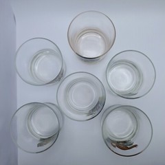«American Wildlife» Rocks Glasses Set Of 6 West Virginia Specialty Glass Vtg Bar