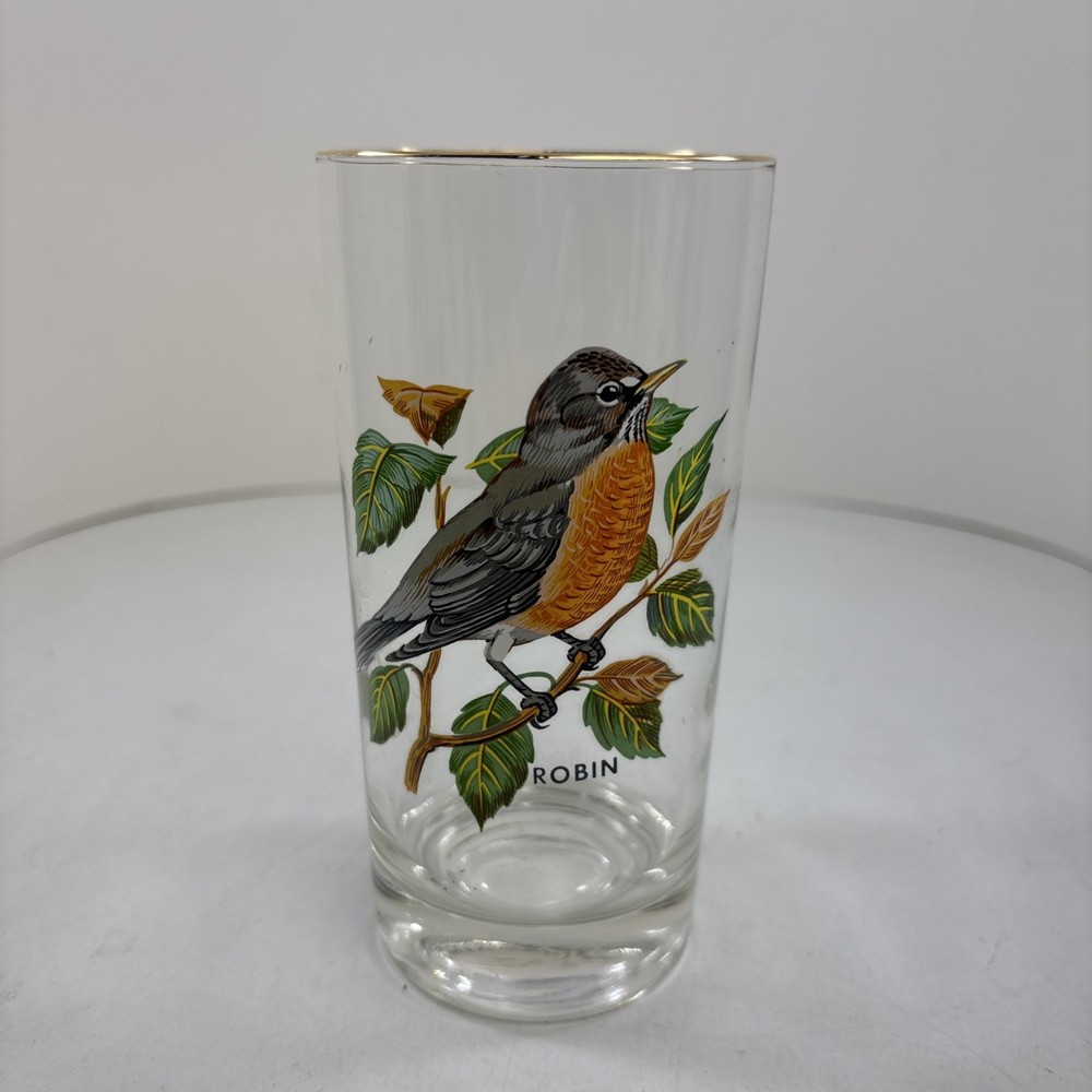 “Robin” Vintage 12oz Flat Tumbler By West Virginia Glass Specialty