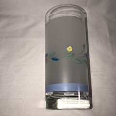 Floral Expressions Frosted Set of Two 16 oz. Glass Tumblers, By Hearthside