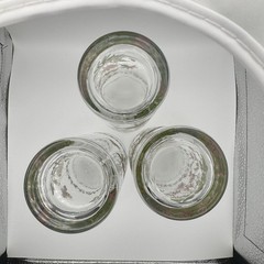 Vintage Botanic Garden Glass Tumbler Set/3-Cyclamen, Gazania & Rosa