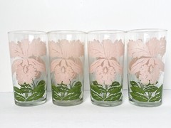 Vintage Swanky Swig Glass Tumbler Pink Green Iris Flower MCM 16oz Glasses Set 4