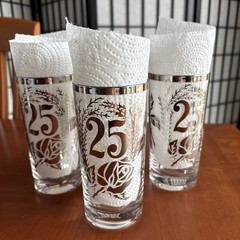 VTG Vitreon Queens Lusterware 25th Anniversary Glasses Roses Silver Rim Set Of 3