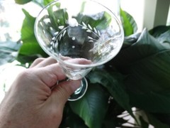 Pioneer Glass Japan Clear Gray Cut Willow Moon 2.5 oz Sherry Glass VGUC