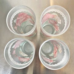 DARTINGTON DESIGNS ☆ Frosted Glass Floral & Lace 14 oz Tumblers ☆ Set of 4