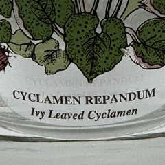 Vintage Botanic Garden Glass Tumbler Set/3-Cyclamen, Gazania & Rosa