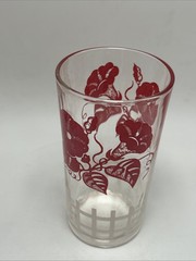 Vintage Red Morning Glory Floral Flowers Juice Glasses Cottage Core MCM Set Of 4