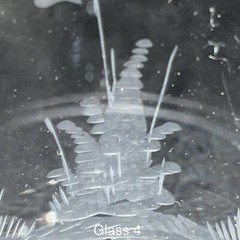 Wildlife Geese & Deer Etched Crystal Lowball Tumblers 6pc Set c1980s Germany 4″t