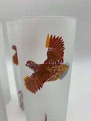 VINTAGE FROSTED TOM COLLINS COCKTAIL GLASSES with FLYING PHEASANT, Set Of 6