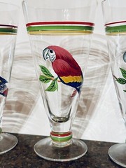 Set Of 4 Hand Painted Red Parrot Glass Goblets
