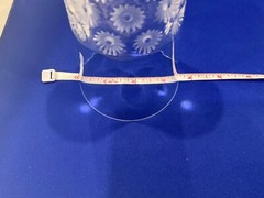 Lalique Crystal Napsbury Daisy Floral Whiskey Tumbler Glass France 5″ x 3.5″