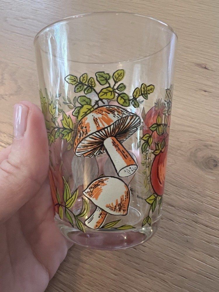 VTG Spice of Life Glass Tumbler Mushroom Tomato Pattern