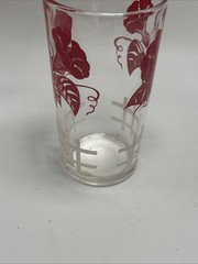 Vintage Red Morning Glory Floral Flowers Juice Glasses Cottage Core MCM Set Of 4