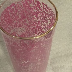 Lily Pulitzer 7 in cocktail glass tropical pink Tom Collins barware