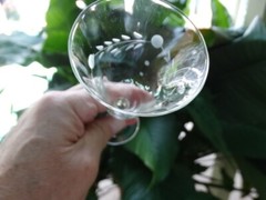 Pioneer Glass Japan Clear Gray Cut Willow Moon 2.5 oz Sherry Glass VGUC