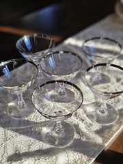 Vtg «Wedding Ring» Crystal Fostoria Champagne Stemware Made In The US 1953-1975.