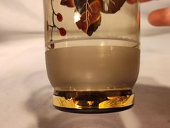 MCM Drinking Glasses Holly Set Of 6 Highball