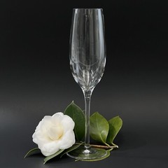 Tiffany & Co. Crystal Champagne Flute Classic U-Shape Signed 9 5/8″ EUC