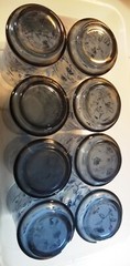 Mid-Century Modern Glasses Libbey Blue Flowers Set x8 Stunning Ombre Bolero 12oz