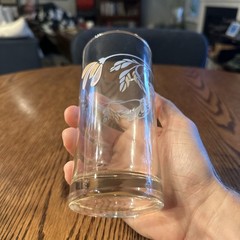 Clear Tumblers Pastel Floral Vine Pattern Drinking Glasses Vintage Set Of 4