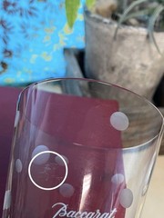 Baccarat Crown Tumbler Glass with Polka Dot Pattern Crystal Clear From Japan