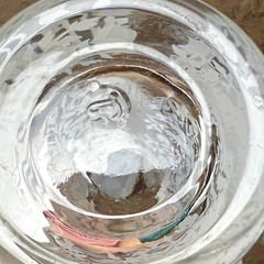 Set of 8 Libbey Garden Lace Glasses Tumblers Clear with White Graphics Birds