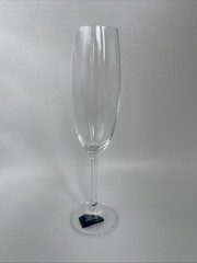 NWT Mikasa Julie Champagne Flute Glass Crystal Mint