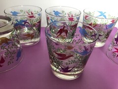 Vintage Libby Drinking Glasses Colorful Flying Birds Rocks Glass Lot of 6 – Rare