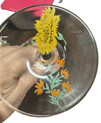 Dorothy Thorpe Hand Painted Poppy & Daffodil Spring Flowers Floral Glasses (5)