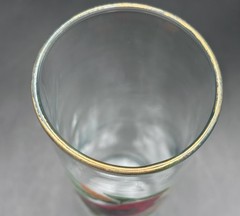 West Virginia Glass American Songbirds Lot Of 3 12 oz Tumblers 6 3/4″