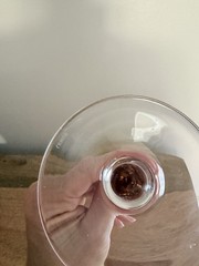 Lenox Tuscany Seasons Collection Etched Martini Glass Replacement