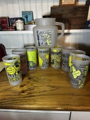 Vintage Frosted State Glass Set Florida Pitcher & 8 Tumblers MCM