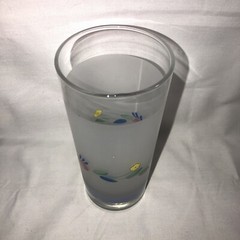 Floral Expressions Frosted Set of Two 16 oz. Glass Tumblers, By Hearthside