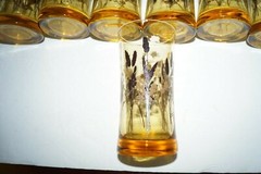 VINTAGE WHEAT DRINKING GLASSES GOLD LONG STEMMED DESIGN BROWN TAN LOT 8 EUC