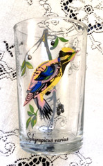 3 Vintage Tropical Bird Juice Drinking Glasses KIG Malaysia Hand Painted