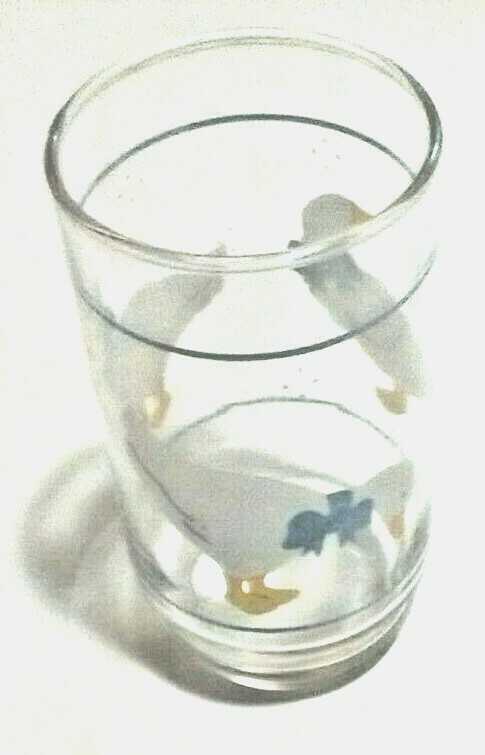 Vintage Promenade Country Ducks/Geese 12 Ounce Beverage Glass About 6″ Tall