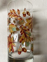 Vintage 5 Beautiful Libbey Fall Foliage Glasses