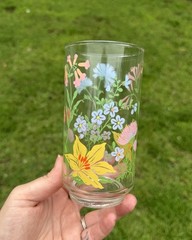 Vintage Libbey Flower Garden Drinking Glass W/ Colorful Floral Design Set Of 2