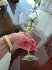 Vintage Handpainted Palm Tree Wine & Iced Tea Glasses