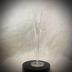 Nice WATERFORD Crystal True Love Forever Champagne Toasting Flute 7oz – 11″