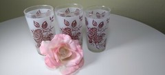Set of 3 Vintage Frosted Drinking Glasses Swanky Swig Tumblers with Brown ROSES