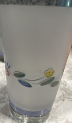 Drinking Glasses-Floral Expressions Frosted By Hearthside Set Of 3