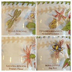 (4) PORTMEIRION Botanic Garden 18oz. 7” Tall Water Goblets Wine Glasses