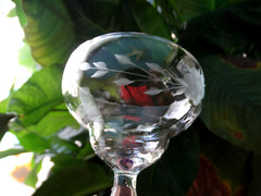 Weston Glass WGL45 Grey Cut 6 Petal Floral Tall Champagne w/ Cobalt Blue Foot