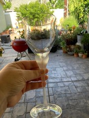 Mikasa Crystal Sea Mist Clear Lot of 2 Wine Glasses 9 1/4 in. pair