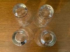 Lotus Leo Etched Cocktail Tumblers Set of 4 Art Deco Glassware