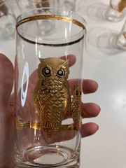 Vintage Culver Ltd MCM 22K Gold Embossed «Owls» Highball Glass Set of 8 1950’s