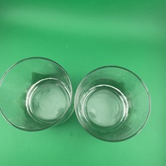 Set Of 2-Libbey 14oz Double Old-Fashioned Rocks Glasses-Trees-