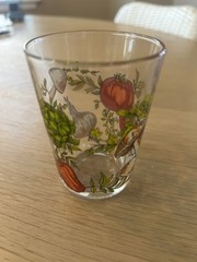 VTG Spice of Life Glass Tumbler Mushroom Tomato Pattern